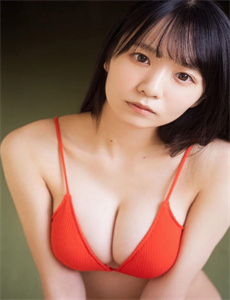《日本关西地区》
